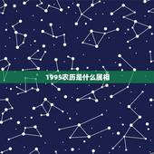 1995农历是什么属相，1995年7月出生的是什么属相