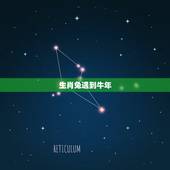 生肖兔遇到牛年，1975属兔2022 年每月