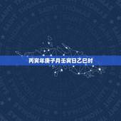 丙寅年庚子月壬寅日乙巳时，乾造丙寅庚子庚子丁亥