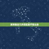 发财鱼这几天在缸底不怎么动，发财鱼为什么在缸底不动？