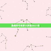 属兔的今年多大岁数2021年，属兔子的2021年今年多大
