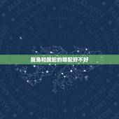 属兔和属蛇的婚配好不好，属兔和属蛇相配吗？