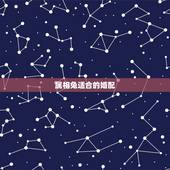 属相兔适合的婚配，兔与属什么的结婚最合适？