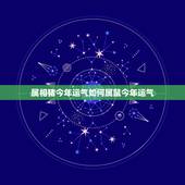 属相猪今年运气如何属鼠今年运气，属鼠2019运气