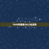 1959年属猪2022年运势，1971年的猪女未来五年的运程