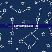 2019年的猪五行属什么，2019猪年是什么命