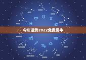 今年运势2022免费属牛，属蛇人2022 年运势