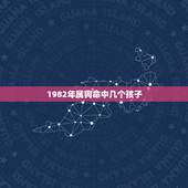 1982年属狗命中几个孩子，82年属命里几个孩子