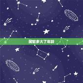 属蛇多大了年龄，属鼠多大年龄