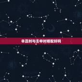 辛丑时与壬申时婚配好吗，女：壬申/壬寅/乙丑/丙子；男：丙寅/丙申/壬