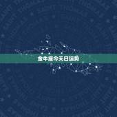 金牛座今天日运势，今天金牛座运气方向