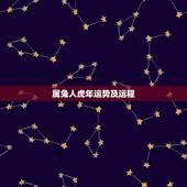 属兔人虎年运势及运程，属兔在虎年运势2022年运势