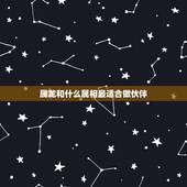 属龙和什么属相最适合做伙伴，属龙的和什么属相最配