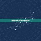 婚配中龙与什么相配好，龙可以婚配什么属相？