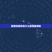 属猪和属狗是什么属相最相配，属猪和属狗的能相配吗？