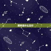 属鸡是什么五行，鸡的五行是什么？