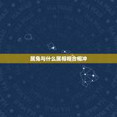 属兔与什么属相相合相冲，兔跟什么相冲相克