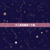十二生肖最后一个是，十二生肖排最后一名是什么