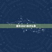 属牛2021年什么命，2021年什么命