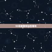 95年属猪财运在哪年，1995年出生的财运