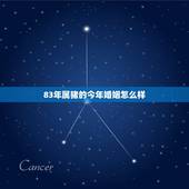 83年属猪的今年婚姻怎么样，83年属猪女人的一生有几段婚姻