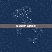 属猪2021年烂桃花，2021属猪年桃花贵人