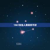 1961年生人男命好不好，61年属牛男性今年运势