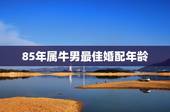 85年属牛男最佳婚配年龄，男属牛85年最佳配偶属相应该属什么