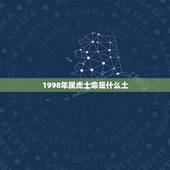 1998年属虎土命是什么土，1998属虎城墙土命