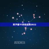 双子座11月份运势2022，哪位有susan miller11月份双子