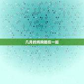 几月的鸡狗能在一起，时候熟鸡狗的男女能不能在一起