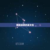 有高级感的英文名，ins风高级感英文店名有哪些？