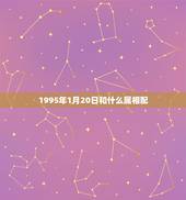 1995年1月20日和什么属相配，农历1995年1月20日出生的是什么