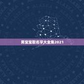 男宝宝取名字大全集2021，男孩的名字2021年出生
