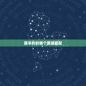 属羊的的哪个属相最配，属羊的和什么属相相配