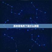 养的草龟死了是什么原因，家养乌龟突然死亡怎么回事？