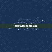 紫微斗数2022年运势，2022年八字运势查询
