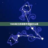1985年三月初四午时是什么命，农历正月初四是什么命
