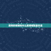 属狗的婚姻和什么属相相配最合适，属狗男和什么属相的女性结婚最合适