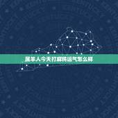 属羊人今天打麻将运气怎么样，属羊人今天打麻将运气怎么样