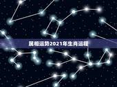 属相运势2021年生肖运程，2021年生肖运势大全