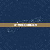 1977属狗最佳婚配属相，1977年男命的最佳配偶是哪个属相