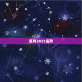 属鸡2022运势，1993年属鸡2022年大喜