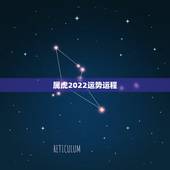 属虎2022运势运程，1986属虎女人2022年的运气
