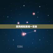 属狗婚配属相一览表，属相婚配表，来看你的属相配什么最好