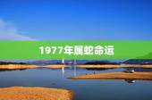 1977年属蛇命运，2022 年属蛇人今日运势
