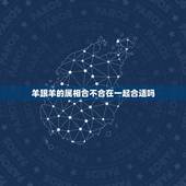 羊跟羊的属相合不合在一起合适吗，羊配猪合不合
