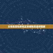 女性色盲和男性正常婚配的遗传图解，请写出女性红绿色盲(正常基因为b，致