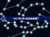 2021年1月2日出生属相，2021年一月出生的鼠怎样