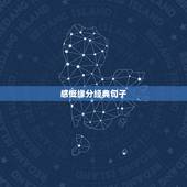 感慨缘分经典句子，缘份的句子经典